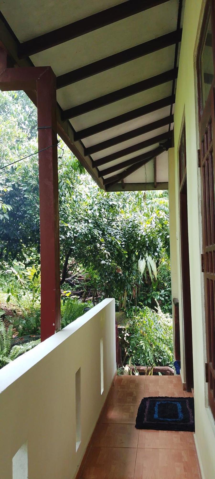 Ranga Villa Hikkaduwa Rom bilde
