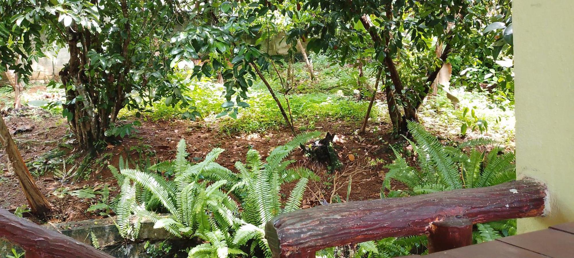 Ranga Villa Hikkaduwa Rom bilde